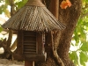 450px-maldives_09983