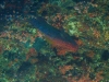 800px-maldives_00326