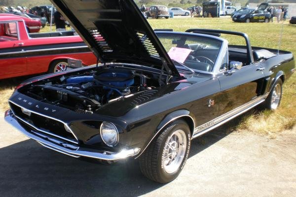 1968 Shelby Gt350 Weight Loss