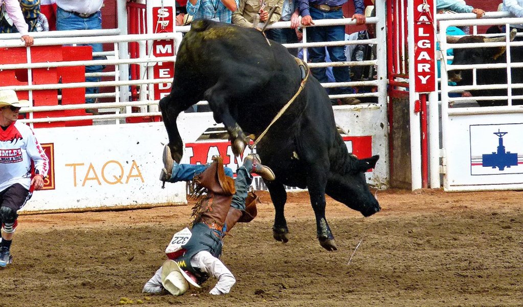 Bull Riding most dangerous sports