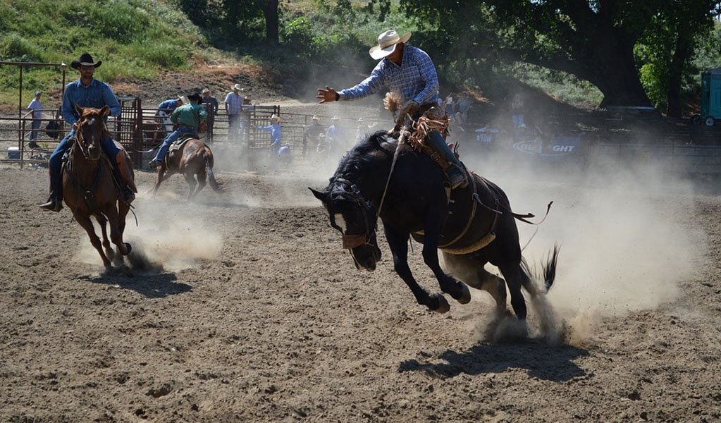 Horseback Riding most dangerous sports