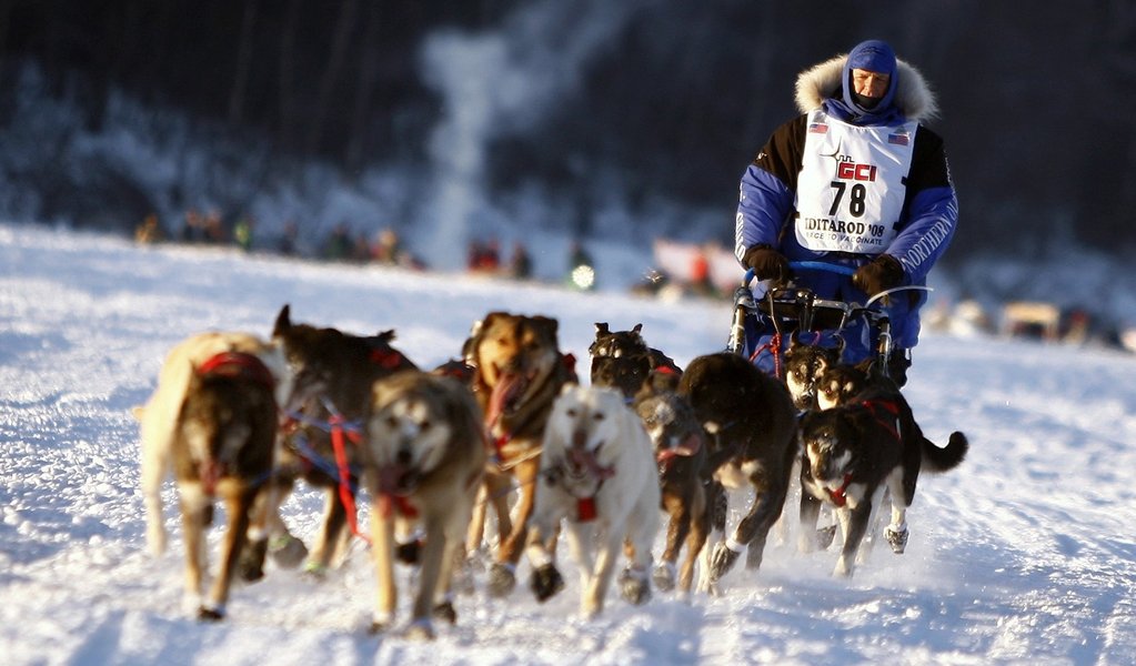 Iditarod