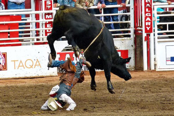 Most Dangerous Sports
