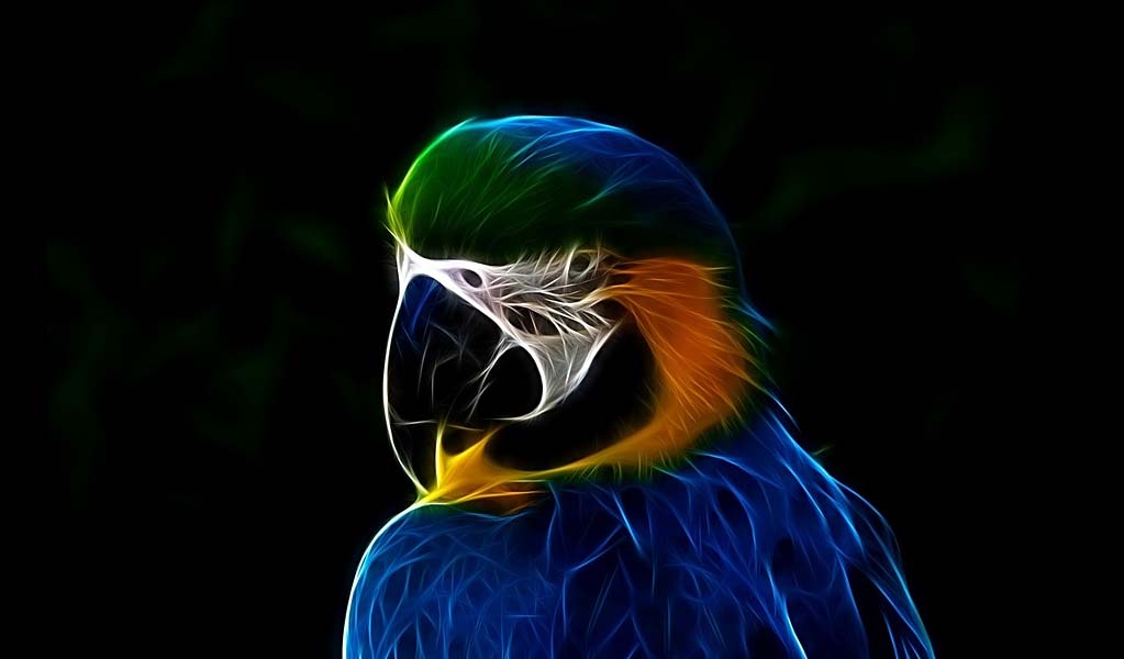 digital macaw portrait