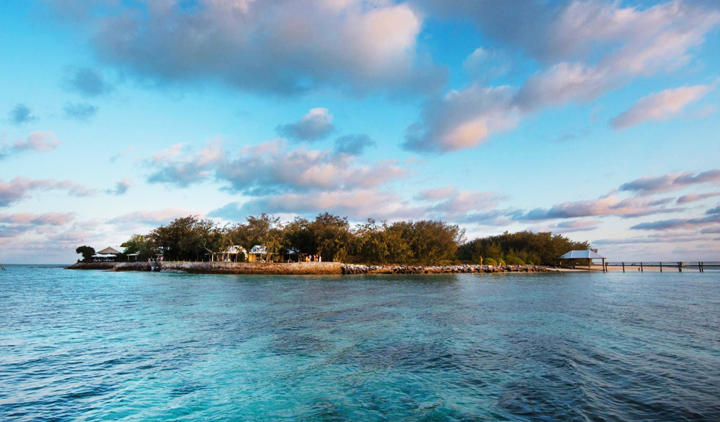 Heron Island Resort