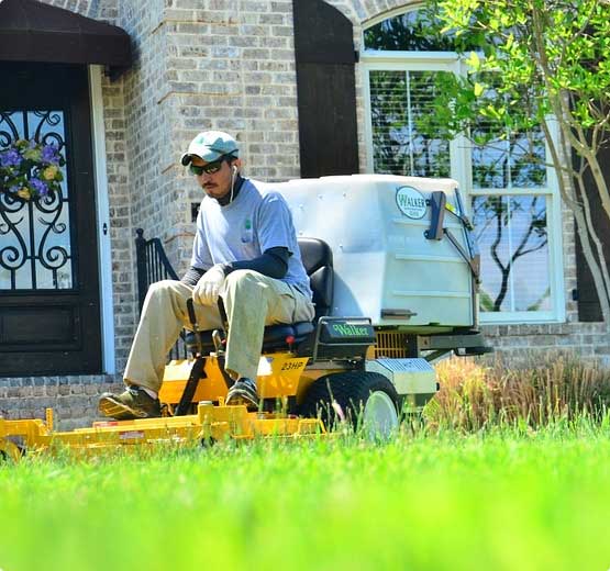 Lawn Mowing