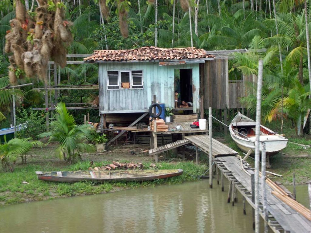 Amazon Rainforest Facts Wonderful Things to Know