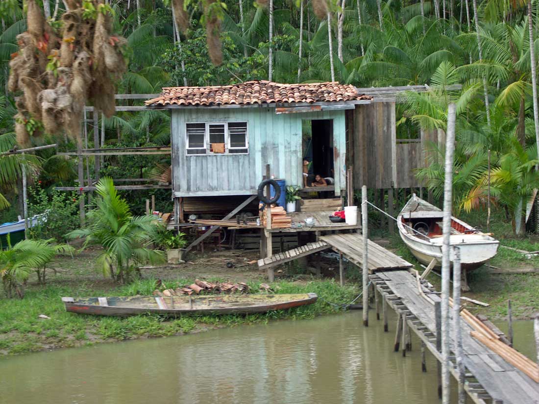 Amazon Rainforest Facts