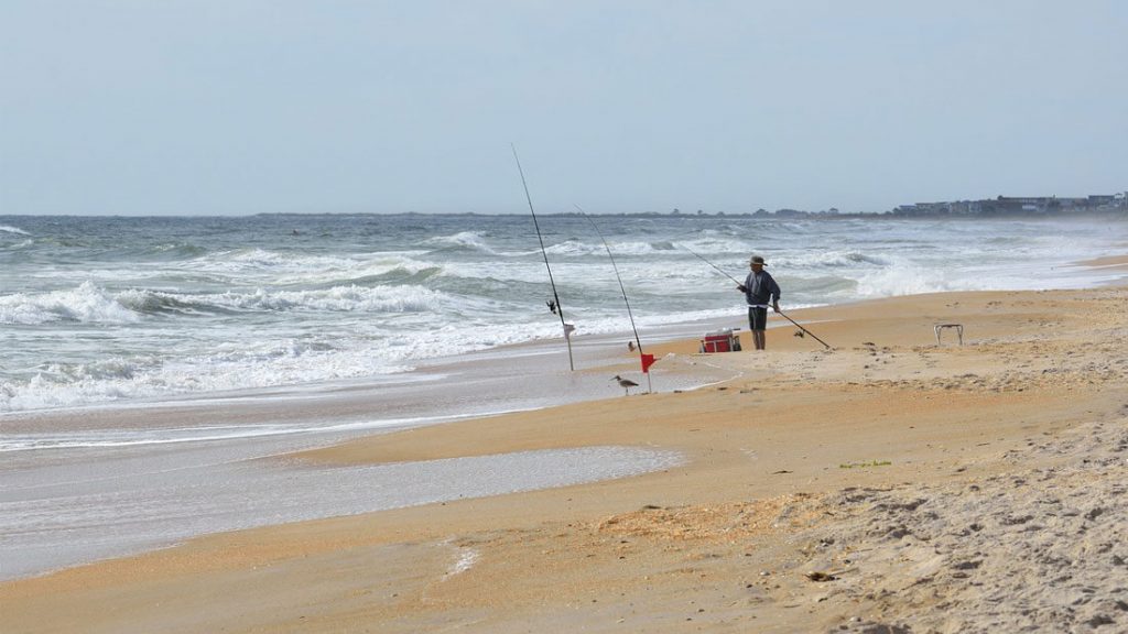 Fishing in Florida Things You Should Need to Know About