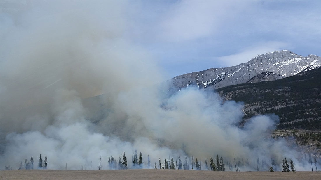 Climate Effect Wildfires