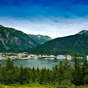 best states to form an llc
