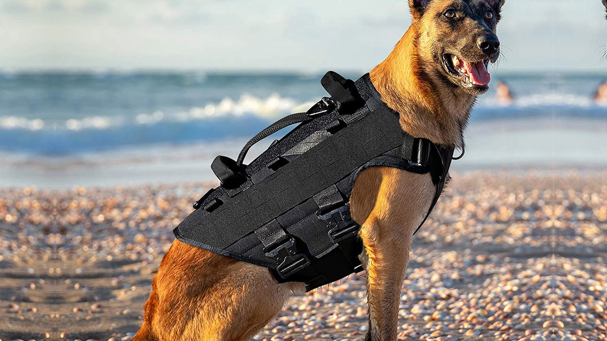 10 Best Tactical Dog Harness & Vests Ultimate Top Picks