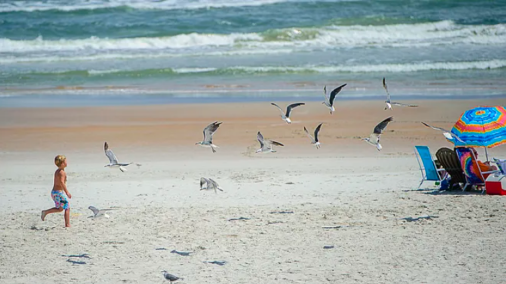 Augustine Florida beach