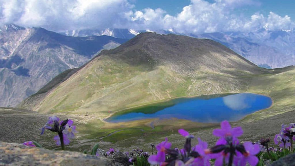 lake surrounded by flowers and mountains
