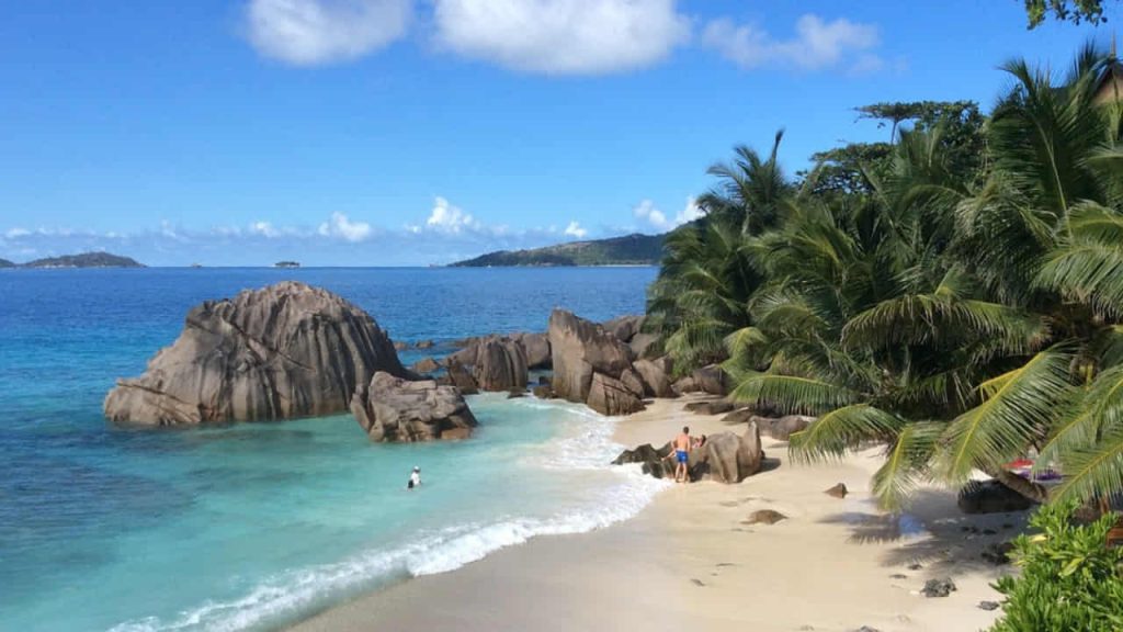 trees and huge rocks on the beach side