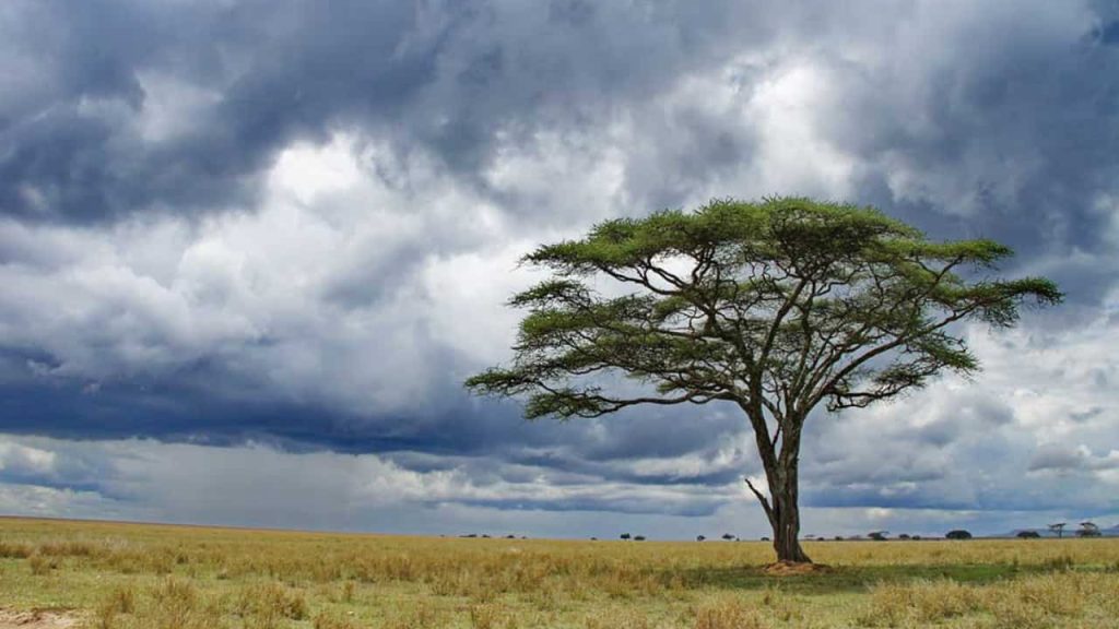 amazing cloudy view