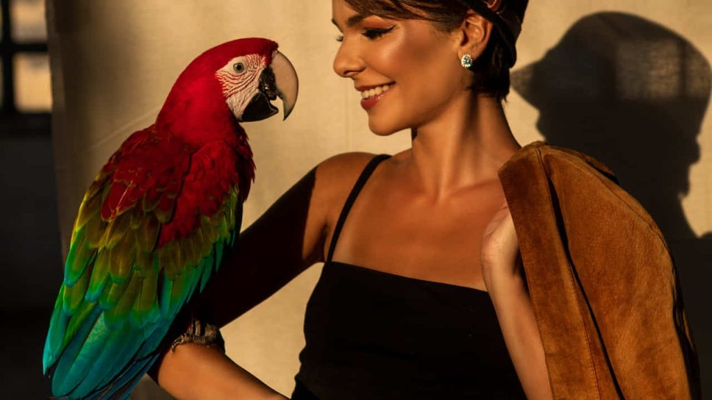 pet macaw on woman's arm