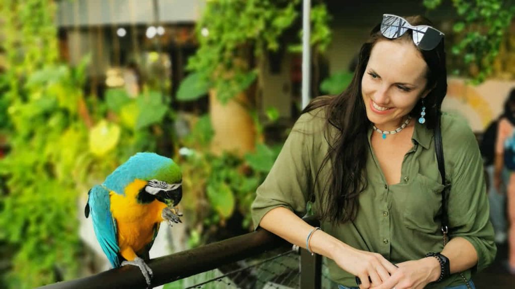 woman looking at the macaw