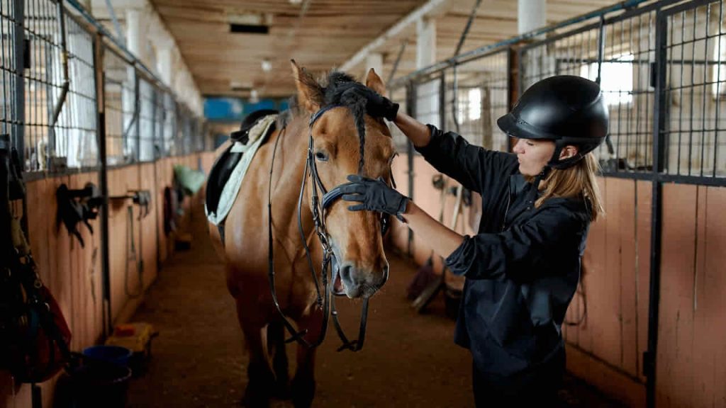 female rider caressing horse in stable