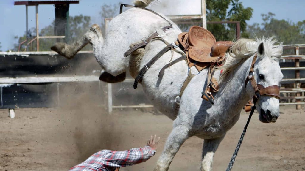 horse kicking man on ground