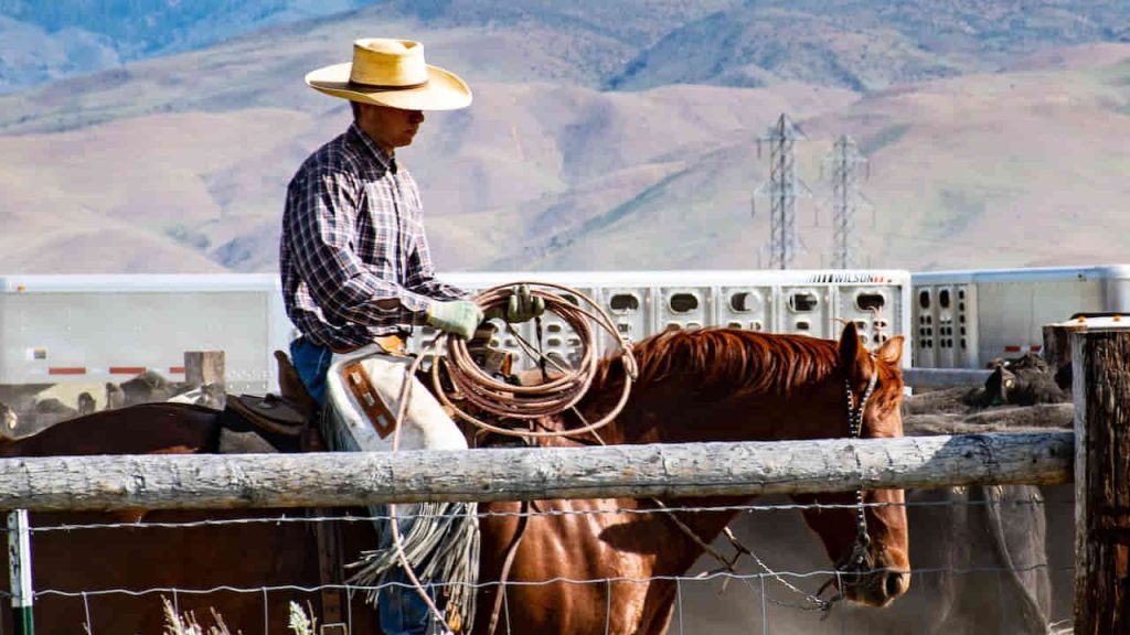 man riding a horse while holding the rope