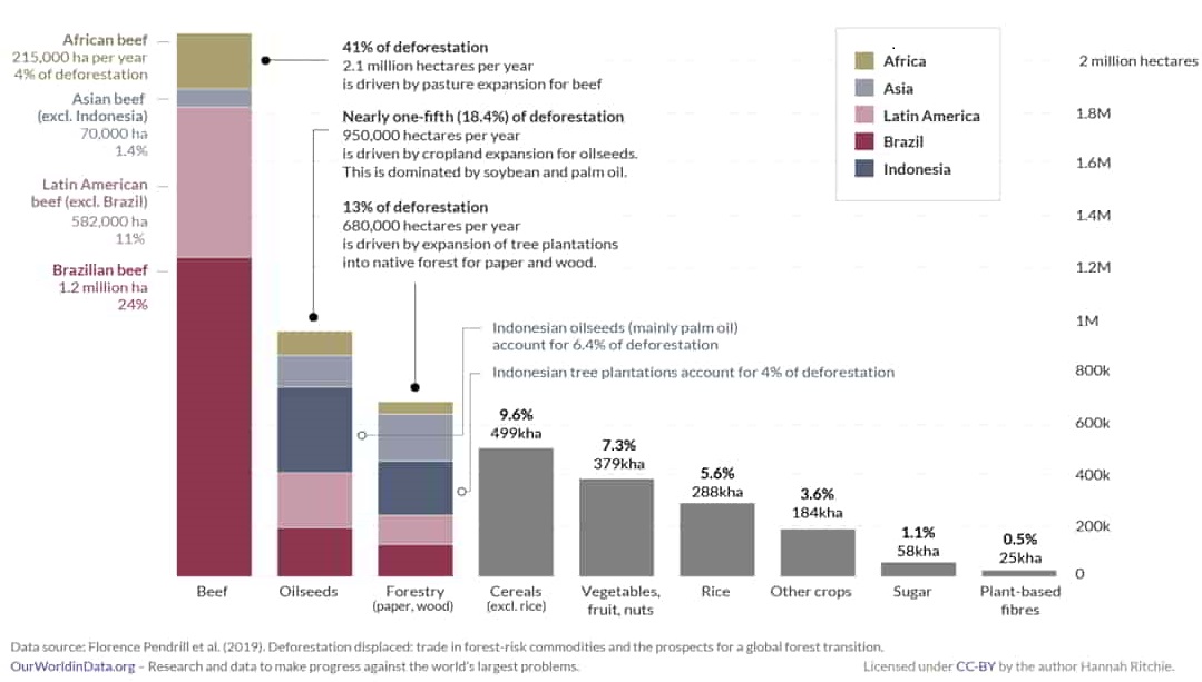 Major drivers of tropical deforestation