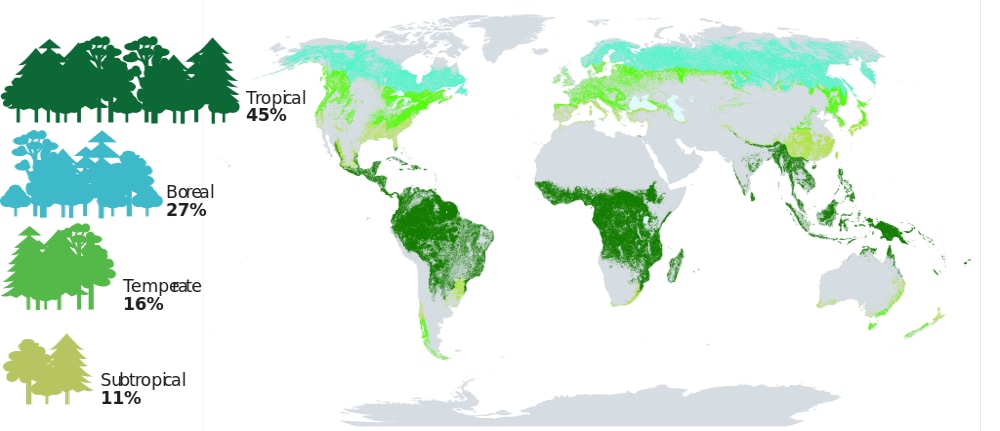 Proportion of Global Forest Area