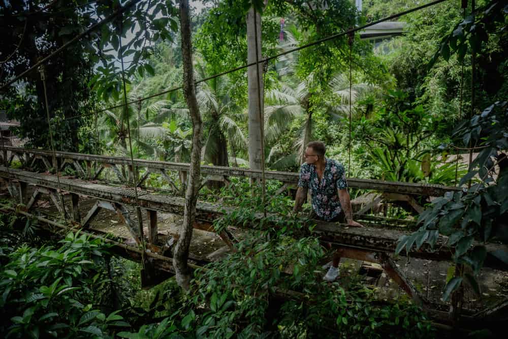 Ubud Bali a bridge in Forest