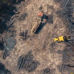 Causes of Deforestation