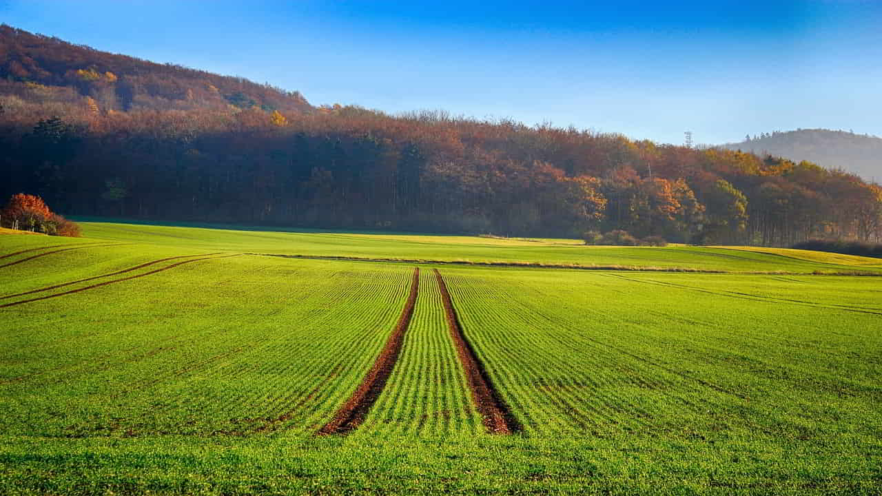 Agriculture Expansion Deforestation