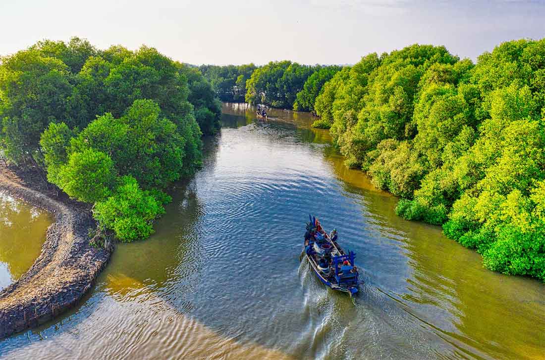 Adventure into Amazon Rainforest 