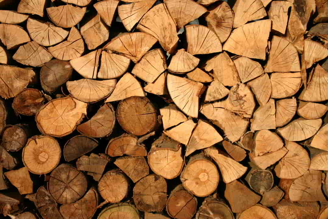 Firewood Collection cause of deforestation 
