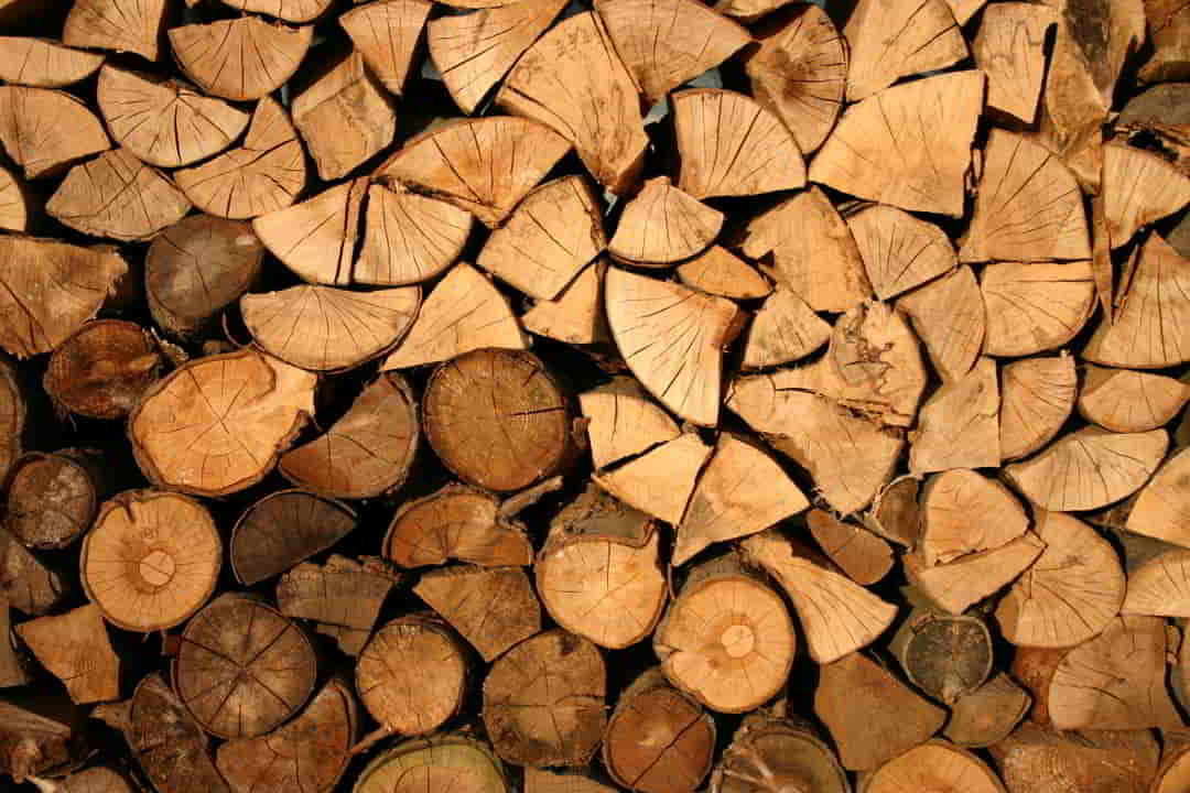 Firewood Collection cause of deforestation