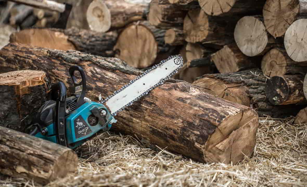 Fuelwood Collection by cutting with saw