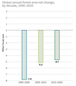 Global Annual Forest Area