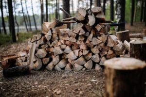 Deforestation Logging