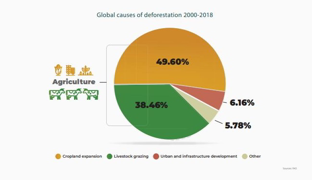 Major causes of deforestation