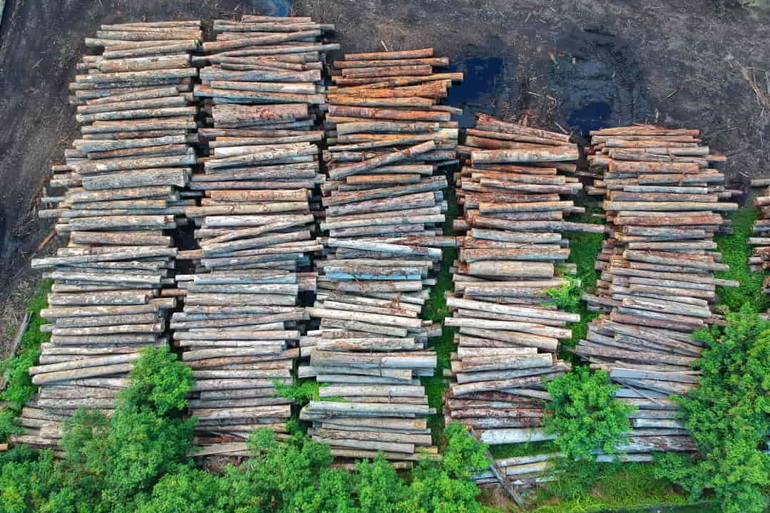 Logging & Timber Extraction