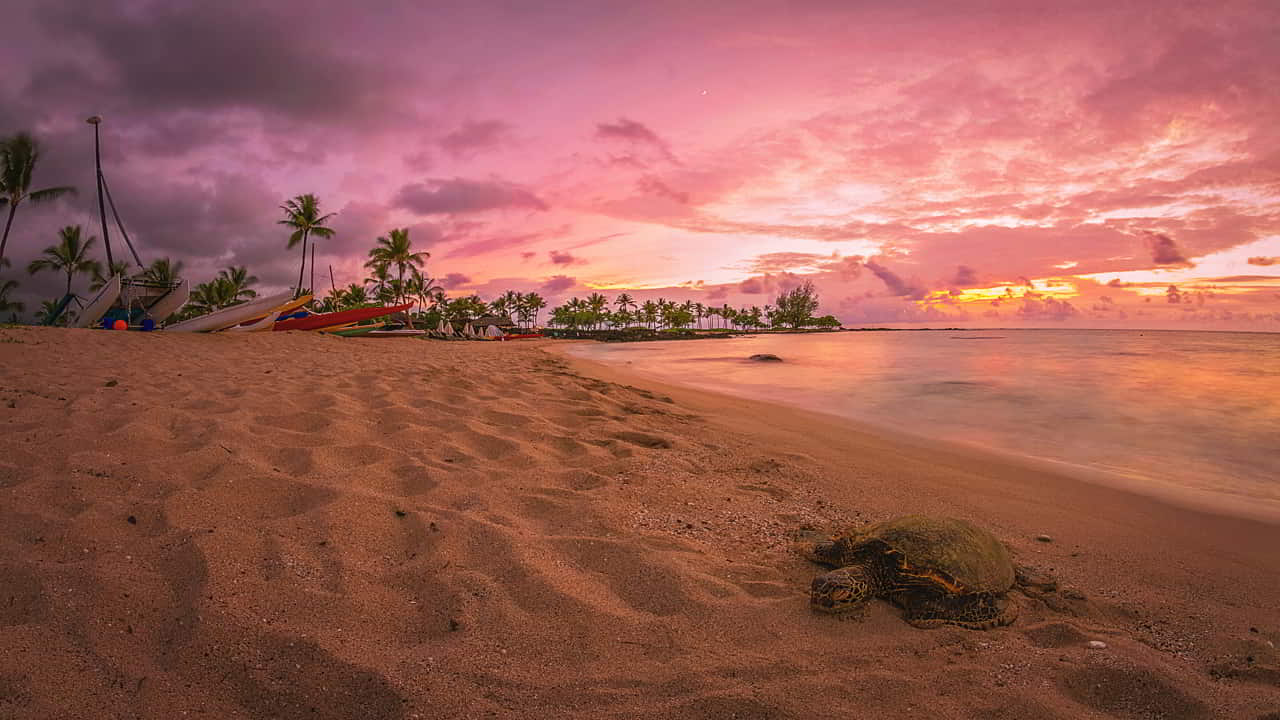 Turtle Bay Resort, Hawaii
