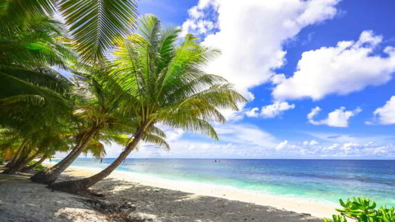 Beach Resorts