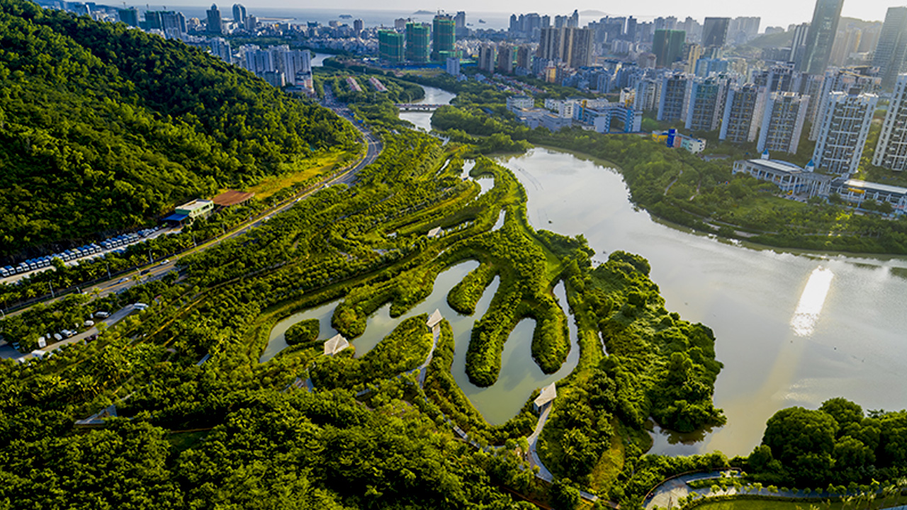 Green Infrastructure Development for Deforestation Solutions