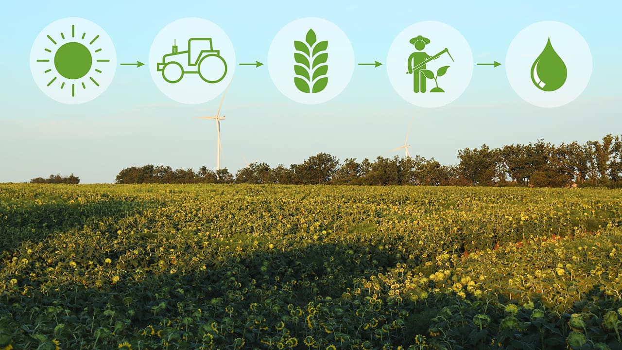 A background showing the field and there is a concept of agriculture