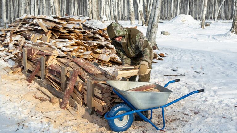 WHAT IS LOGGING visual data 3