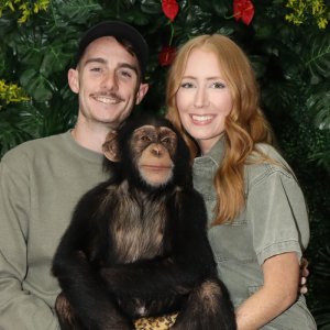 A couple is holding a baby chimpanzee