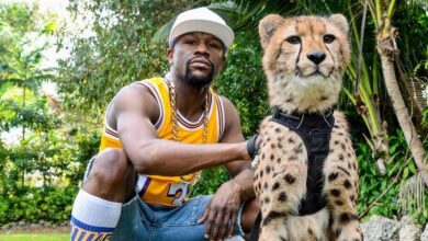 Myrtle Beach Safari: Ultimate Wildlife Encounter & VIP Tours