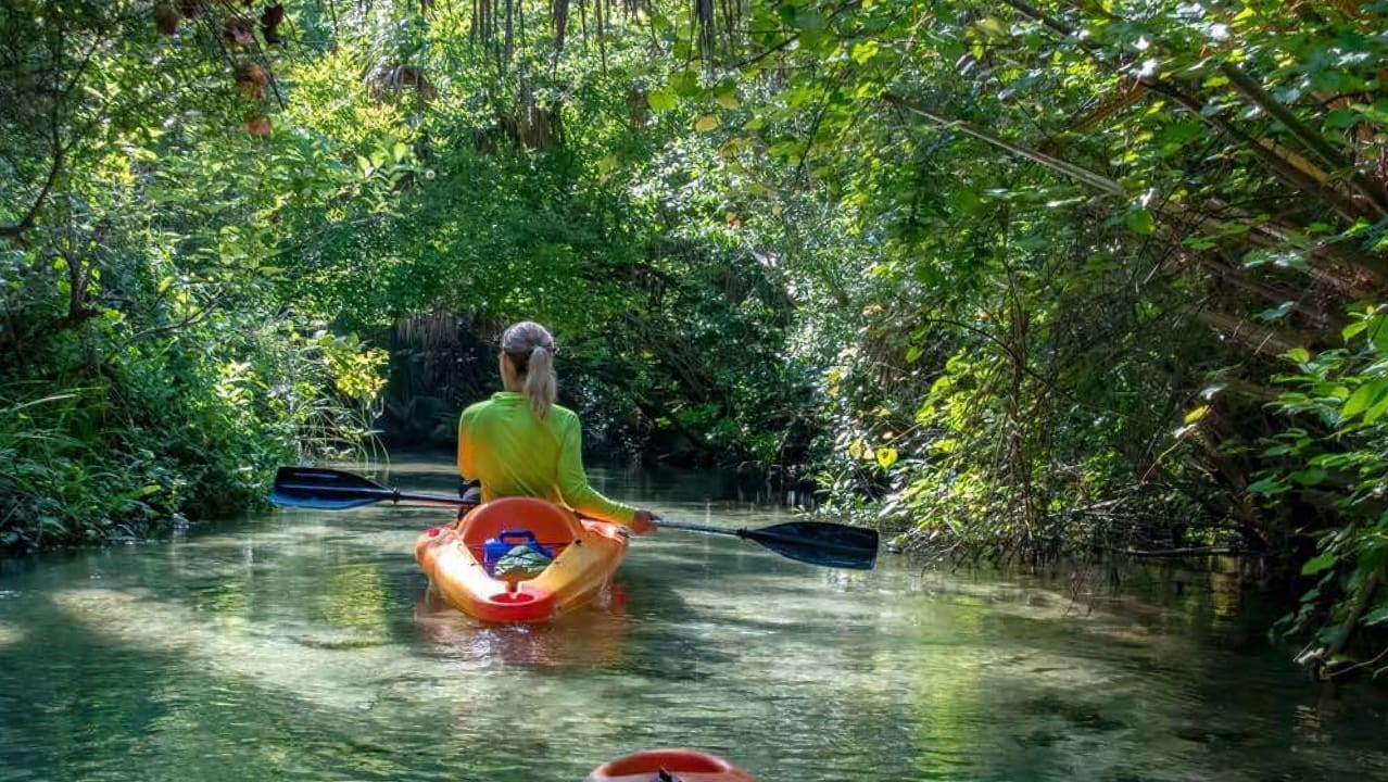 Back of a girl who is Kayaking and exploring siesta key beach