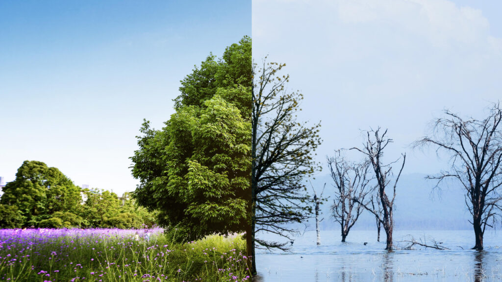 Collage on the concept of climate change