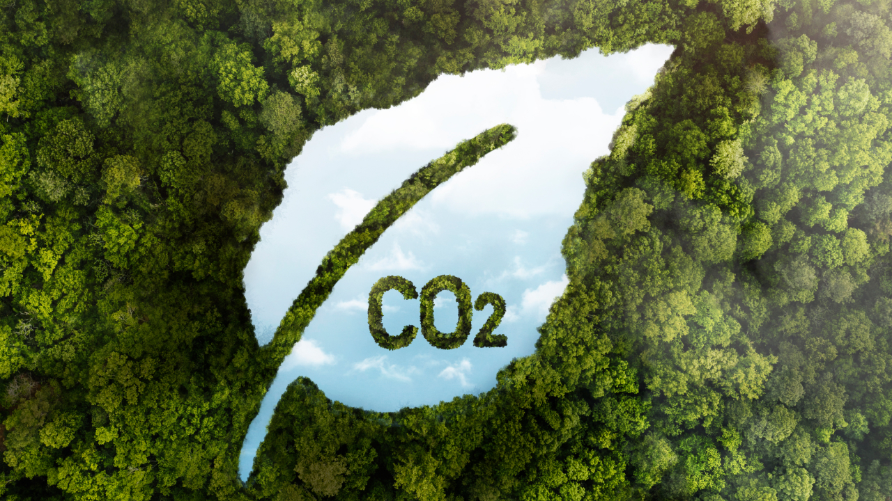View of green forest with co2, concept of AI carbon emissions