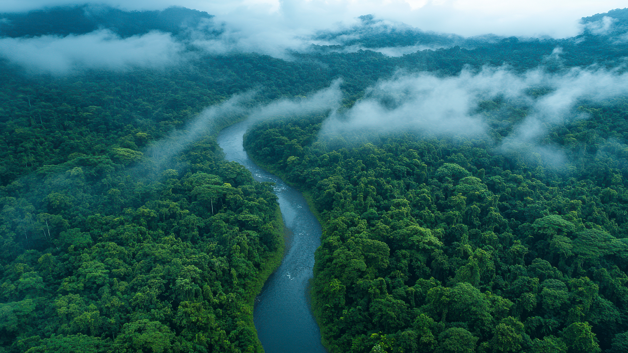 The clouds and forest create a beautiful view