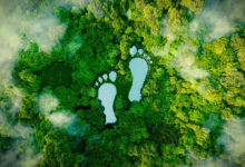how to reduce carbon footprint